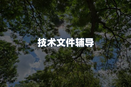 技术文件辅导
